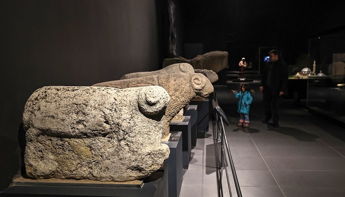 موزه وان
